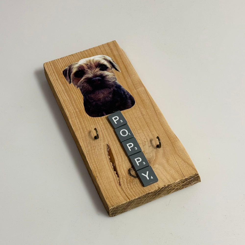 Dog Lead Hanger