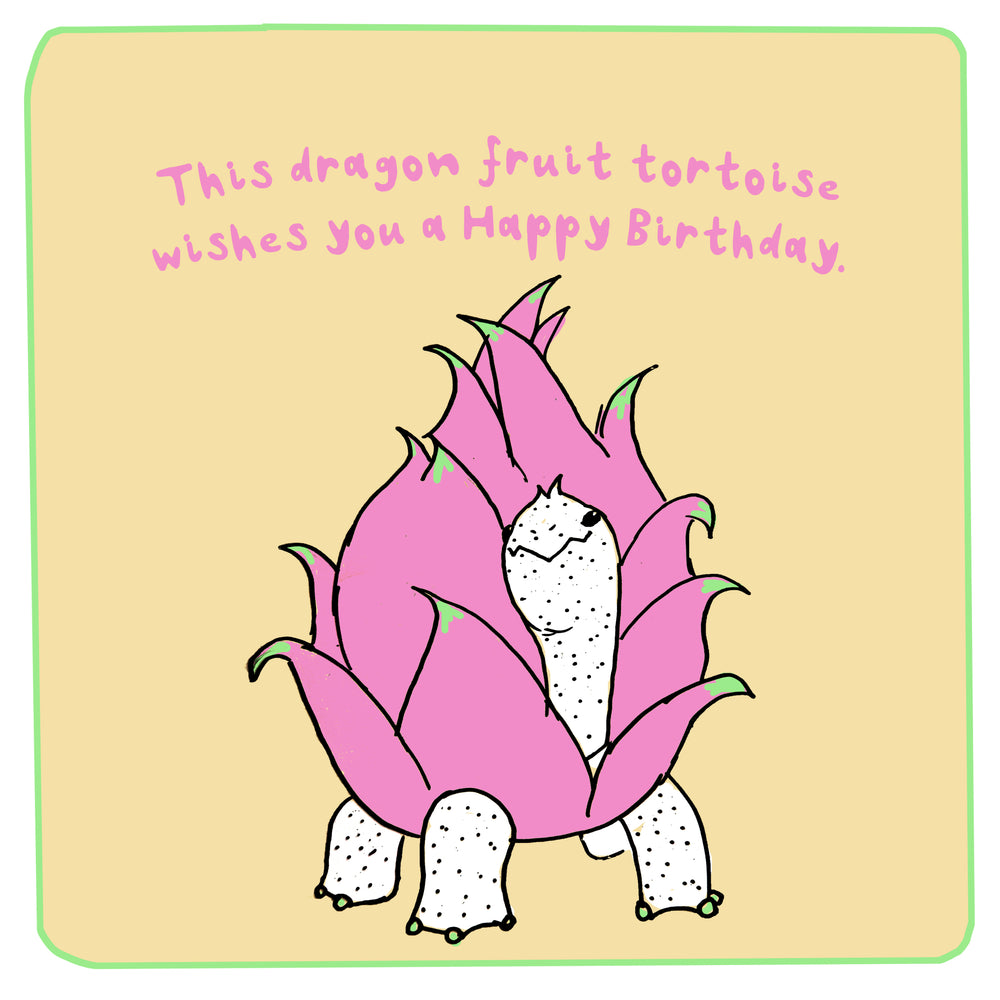 Dragon Fruit Tortoise