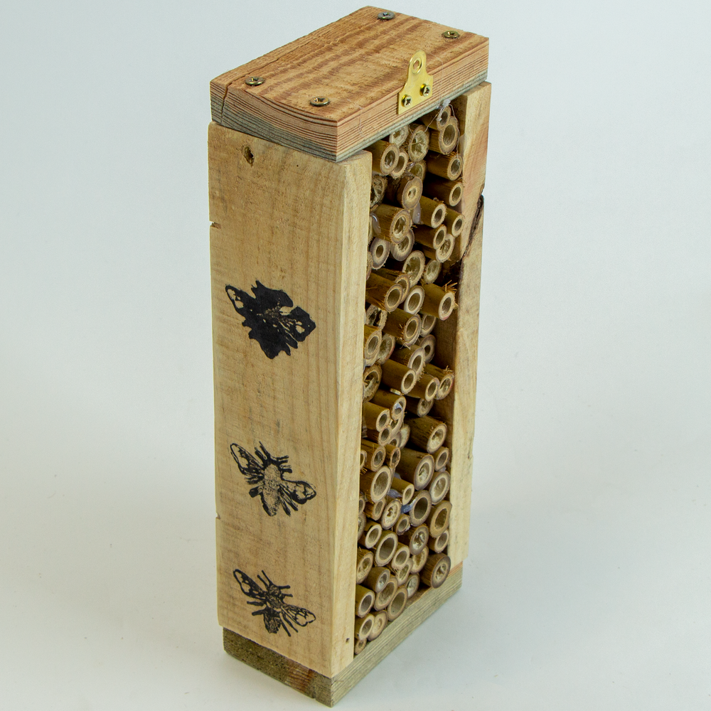 Insect House